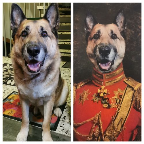 Der General