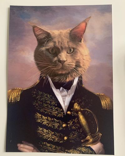 Der Admiral