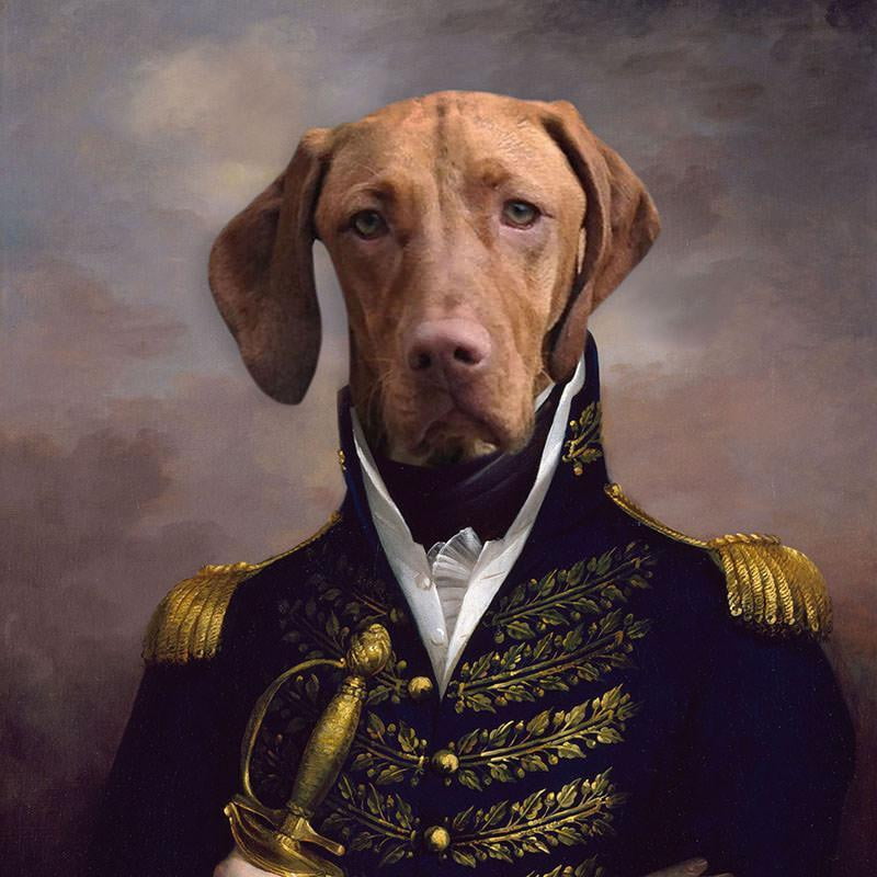 Der Admiral