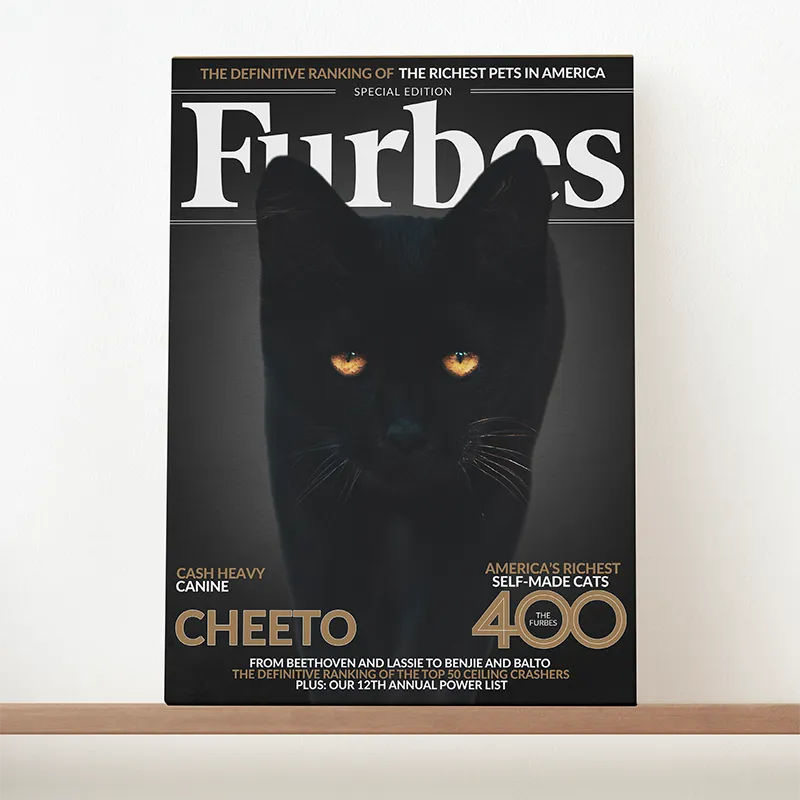 🔥NEU Magazin-Portrait für Katzen