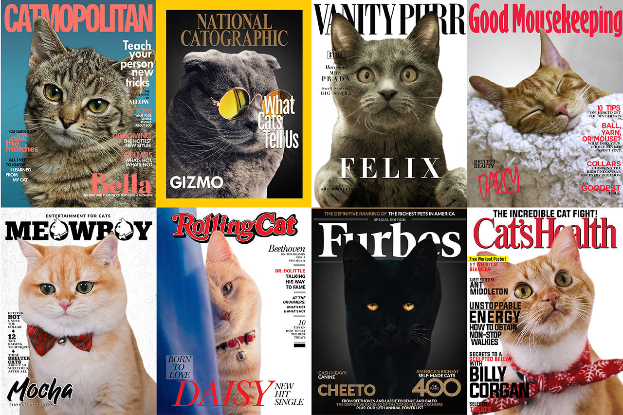 🔥NEU Magazin-Portrait für Katzen