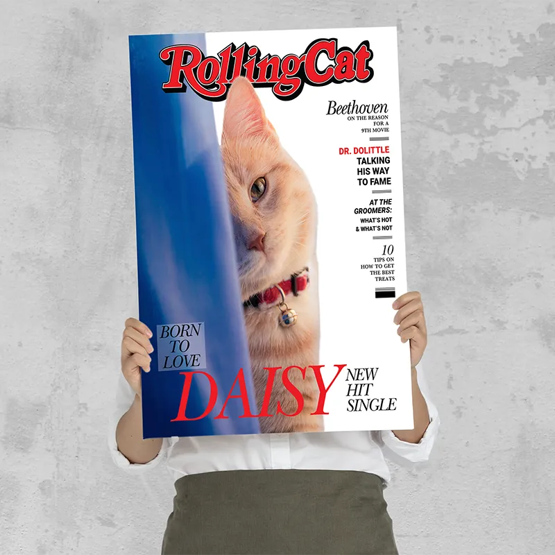 🔥NEU Magazin-Portrait für Katzen