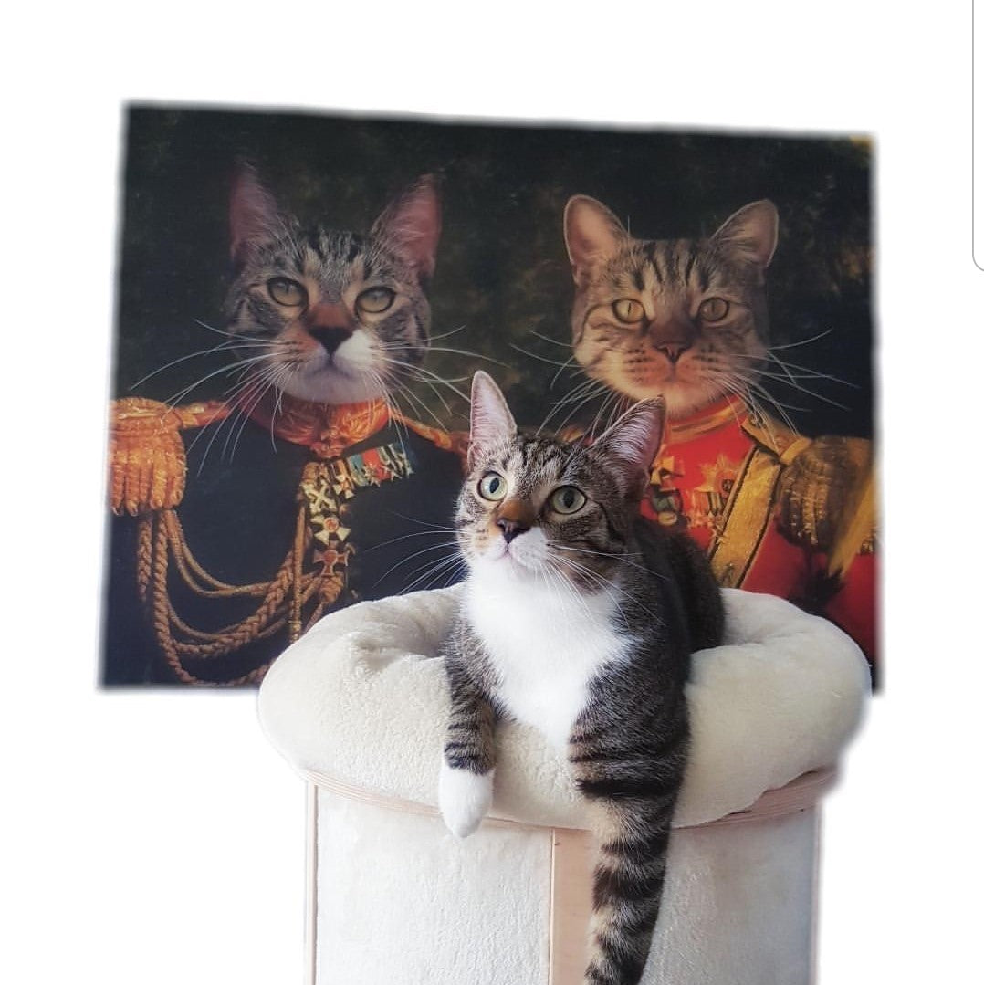 Die Familie