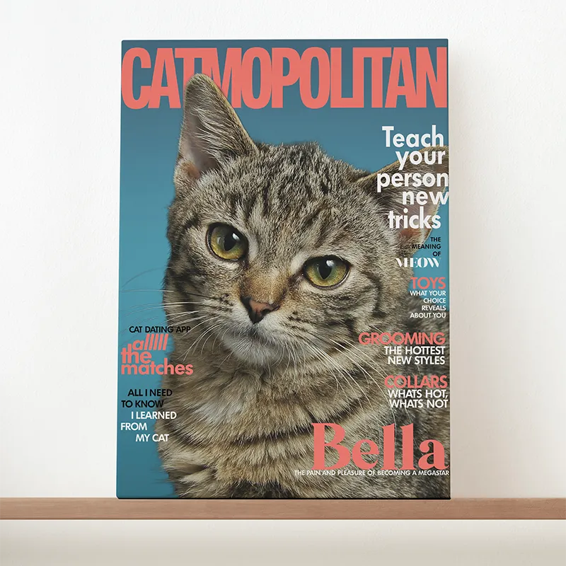🔥NEU Magazin-Portrait für Katzen
