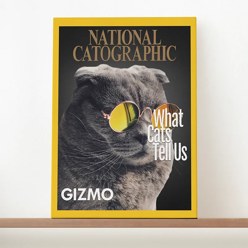 🔥NEU Magazin-Portrait für Katzen