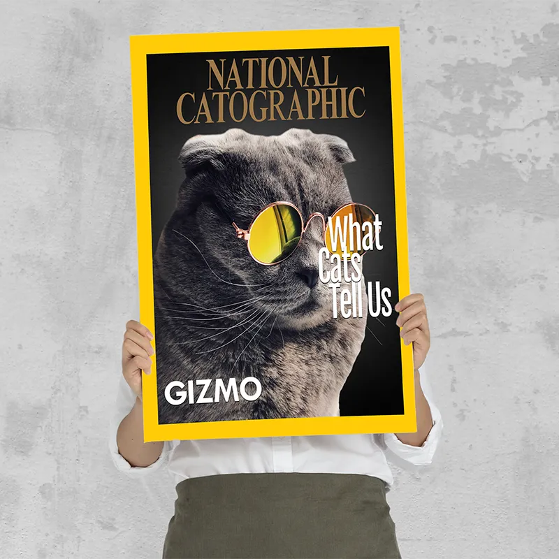 🔥NEU Magazin-Portrait für Katzen