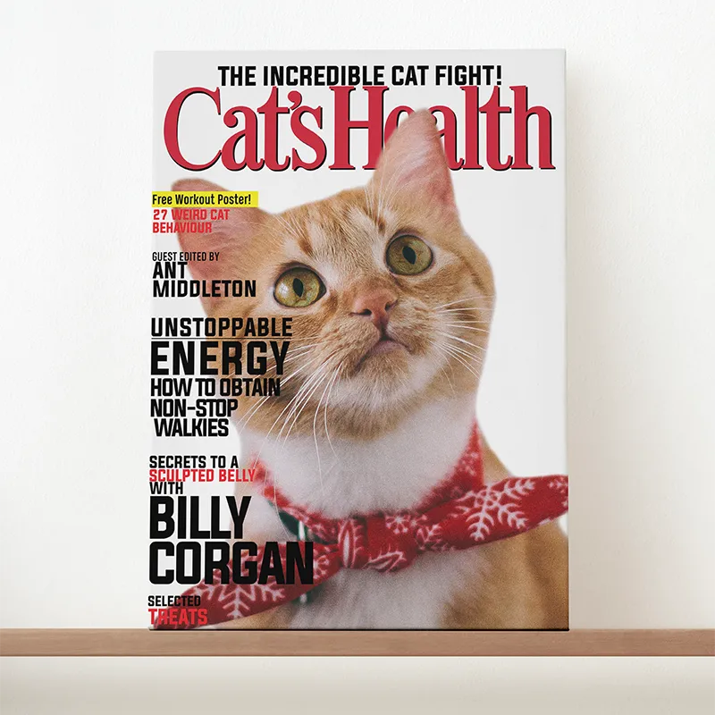🔥NEU Magazin-Portrait für Katzen