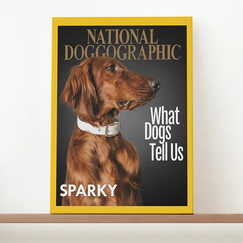 🔥NEU Magazin-Portrait für Hunde