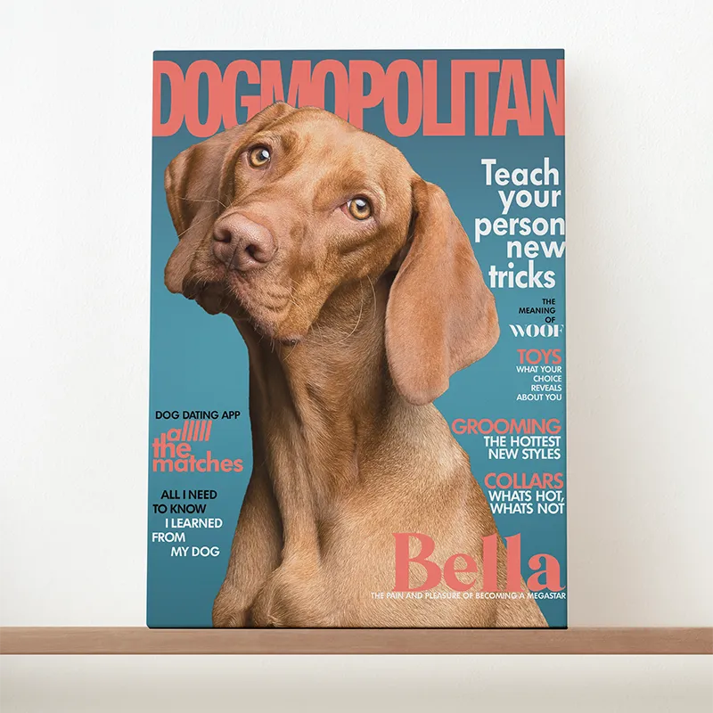 🔥NEU Magazin-Portrait für Hunde