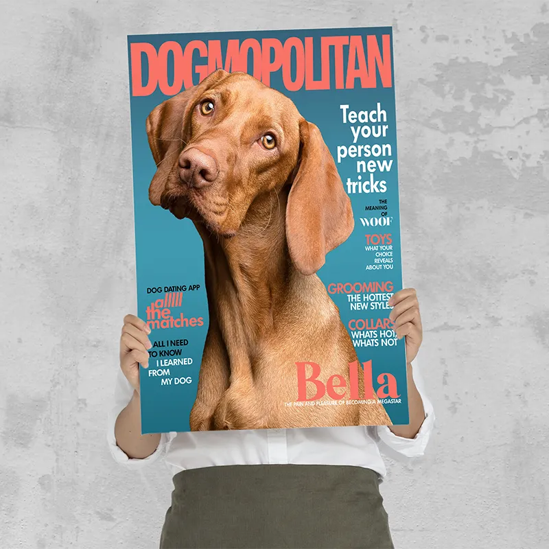 🔥NEU Magazin-Portrait für Hunde