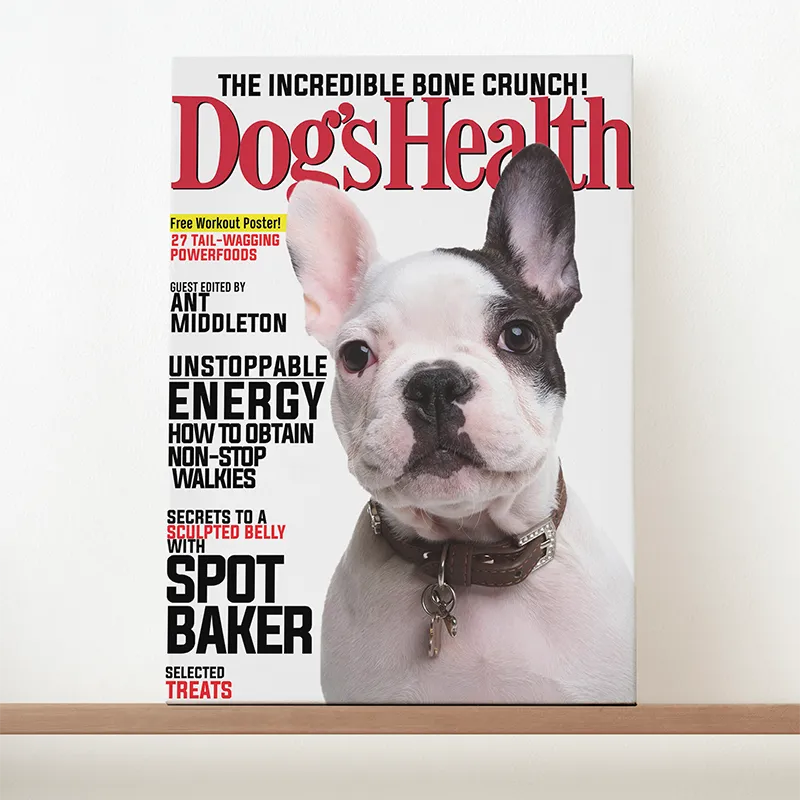 🔥NEU Magazin-Portrait für Hunde