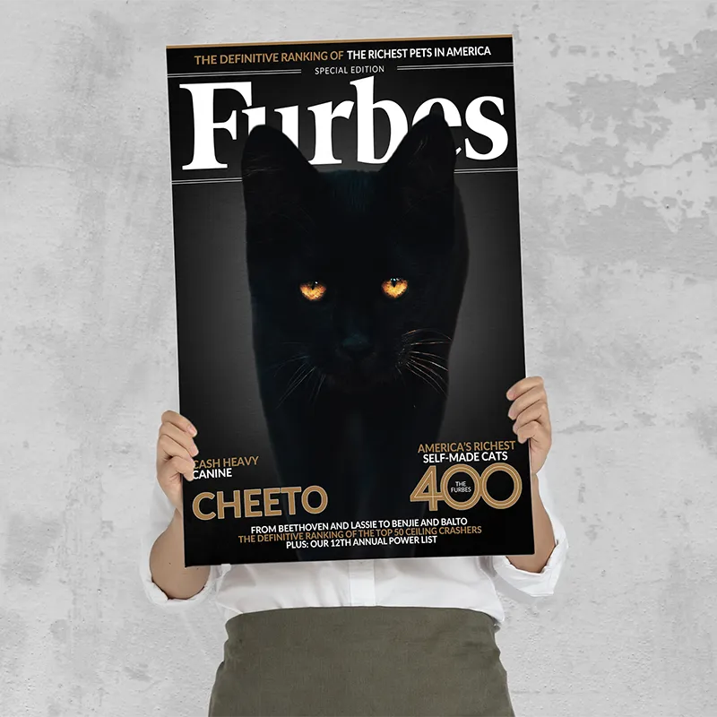🔥NEU Magazin-Portrait für Katzen