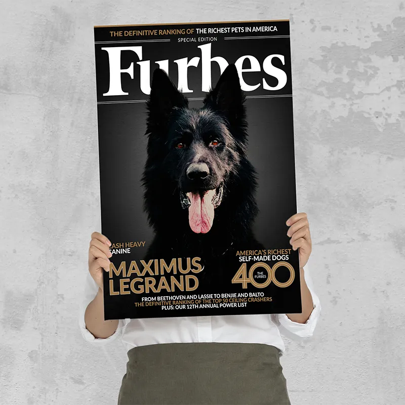 🔥NEU Magazin-Portrait für Hunde