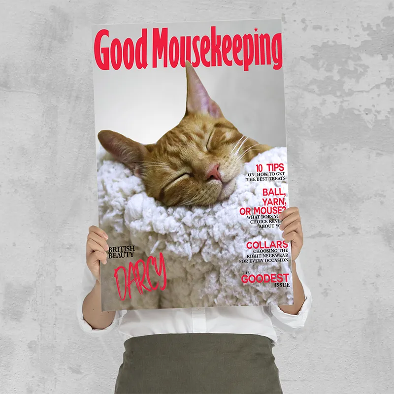 🔥NEU Magazin-Portrait für Katzen