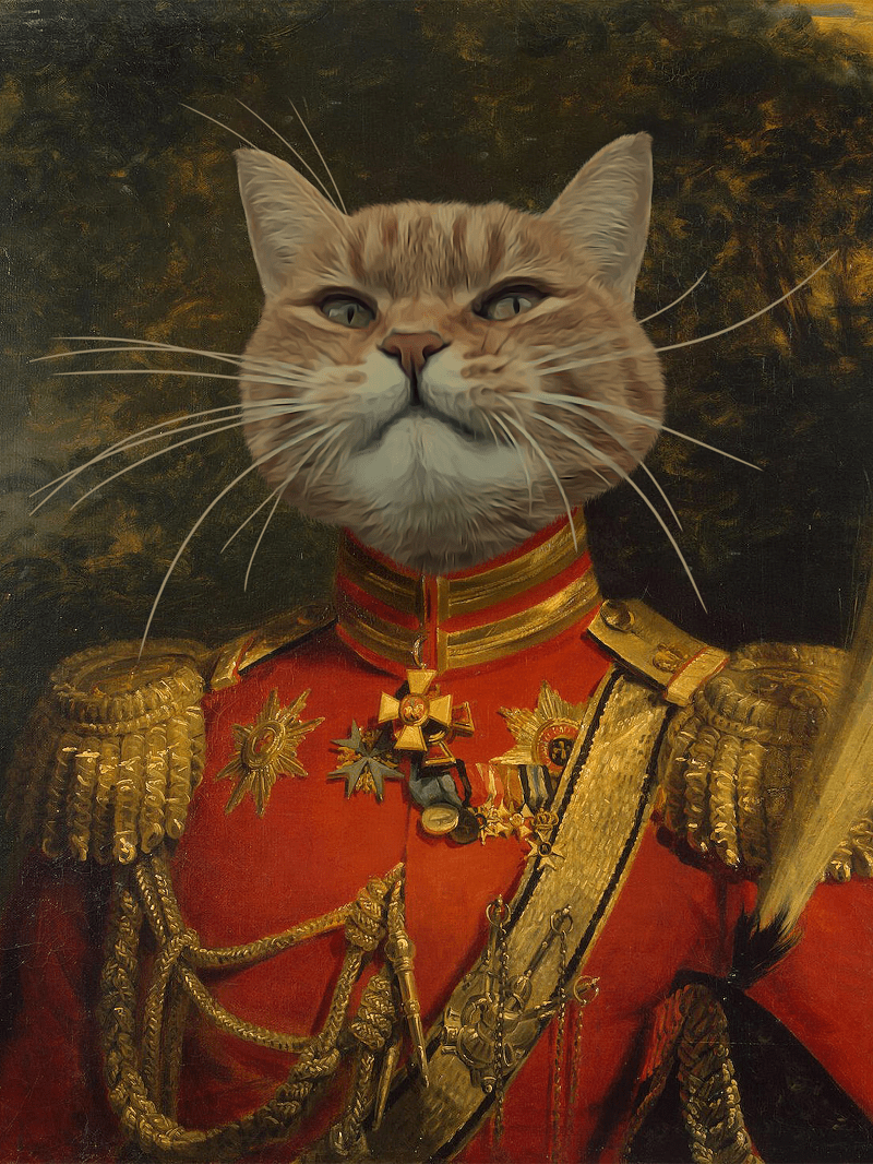 Der General