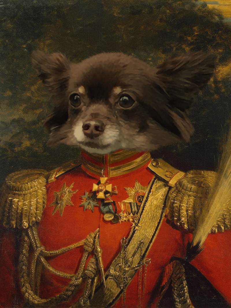 Der General