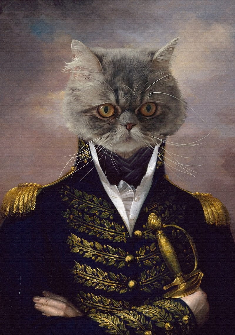 Der Admiral