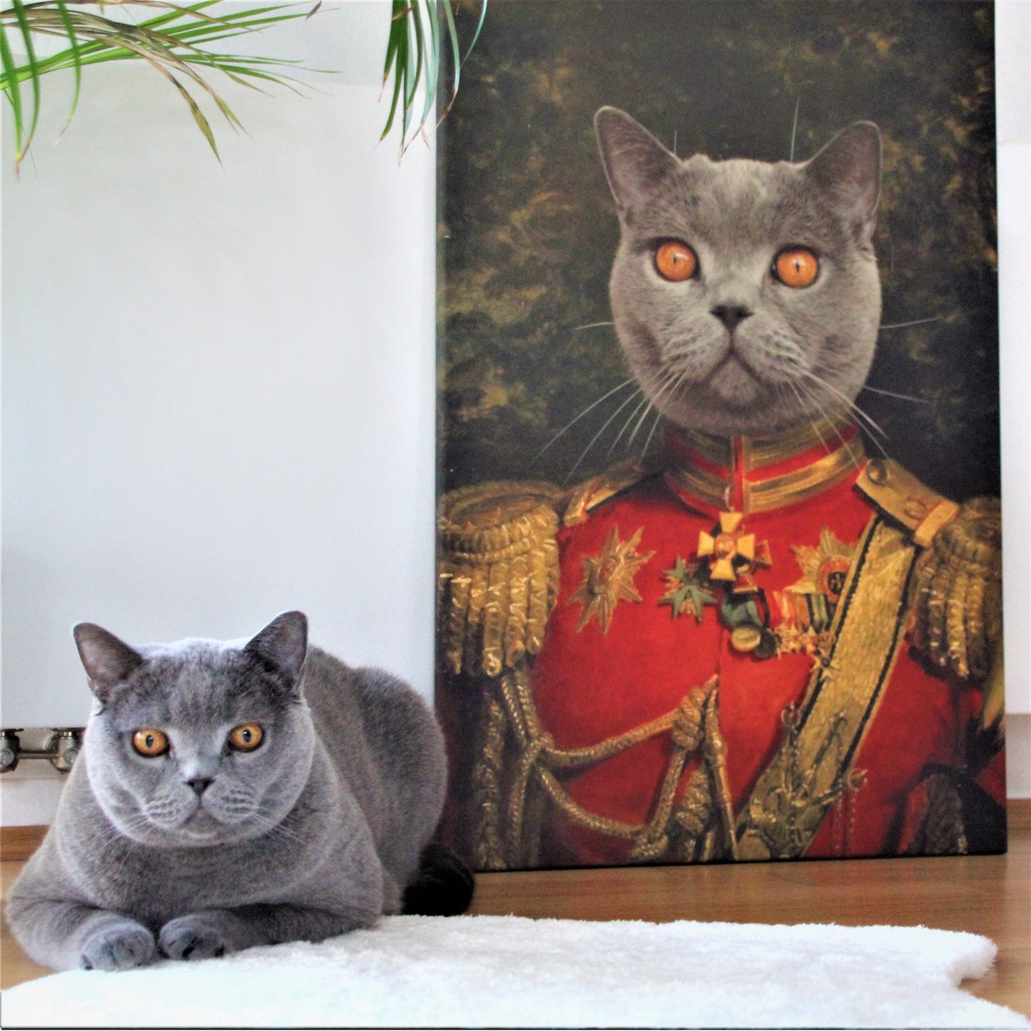 Der General