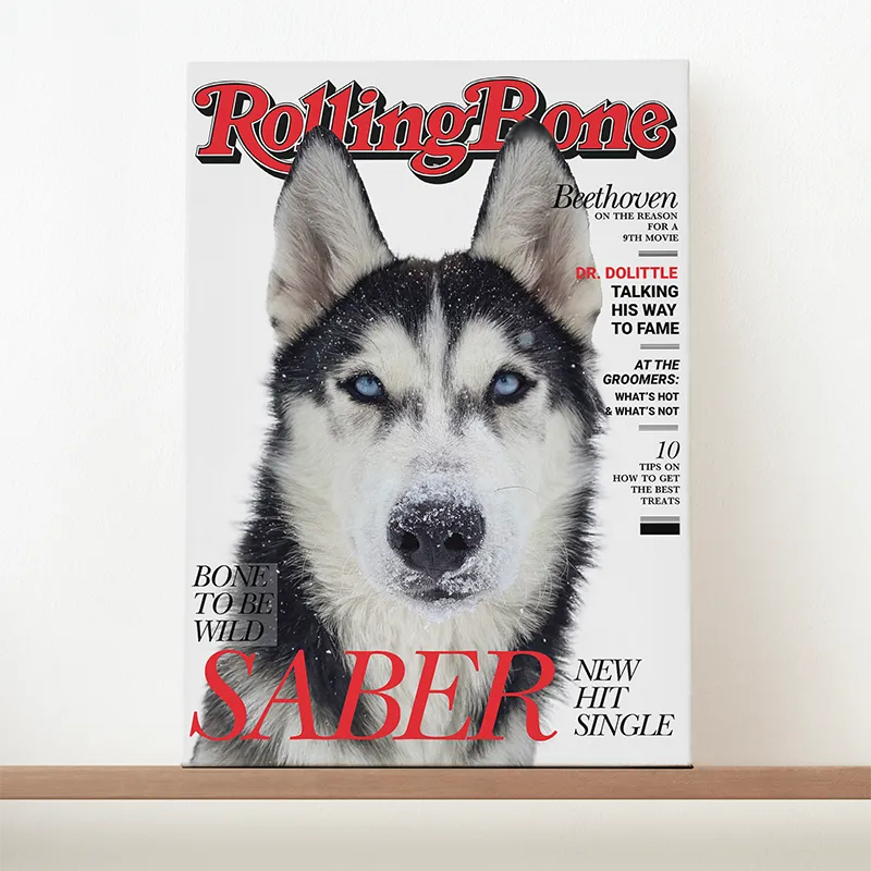 🔥NEU Magazin-Portrait für Hunde