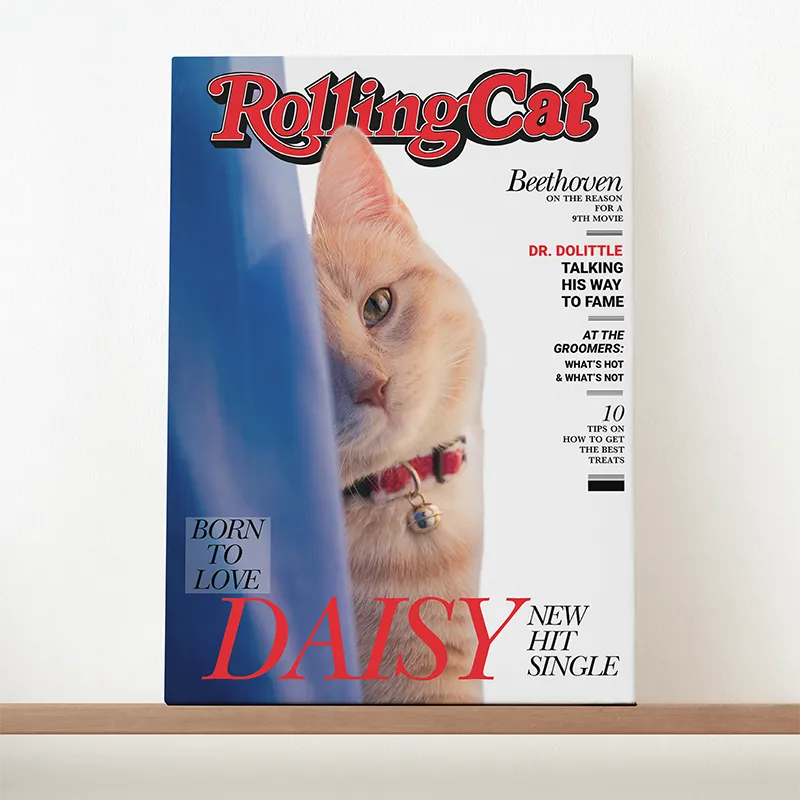 🔥NEU Magazin-Portrait für Katzen