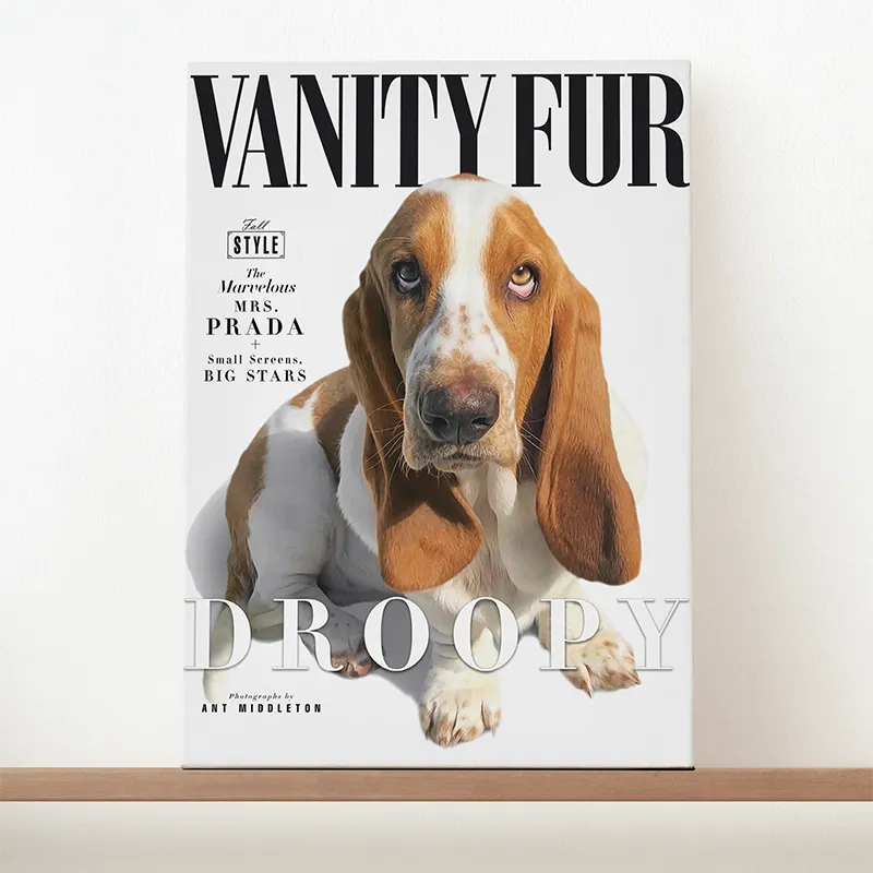 🔥NEU Magazin-Portrait für Hunde