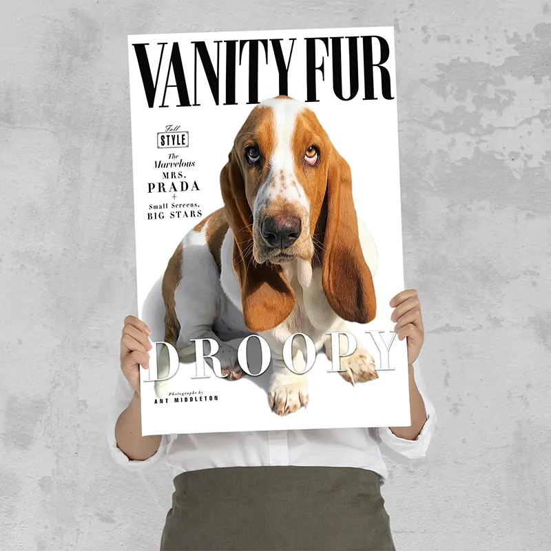 🔥NEU Magazin-Portrait für Hunde
