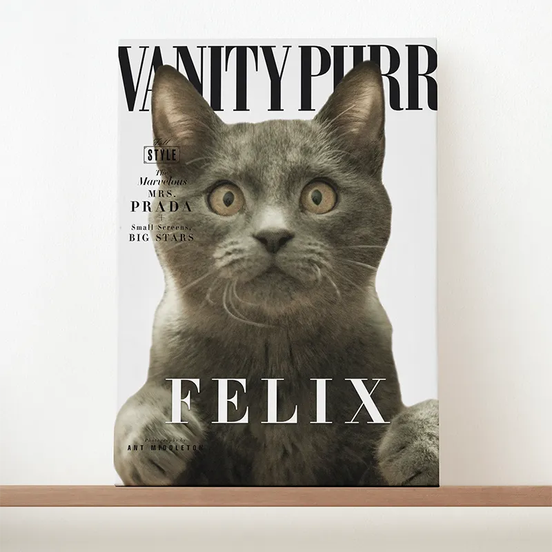 🔥NEU Magazin-Portrait für Katzen