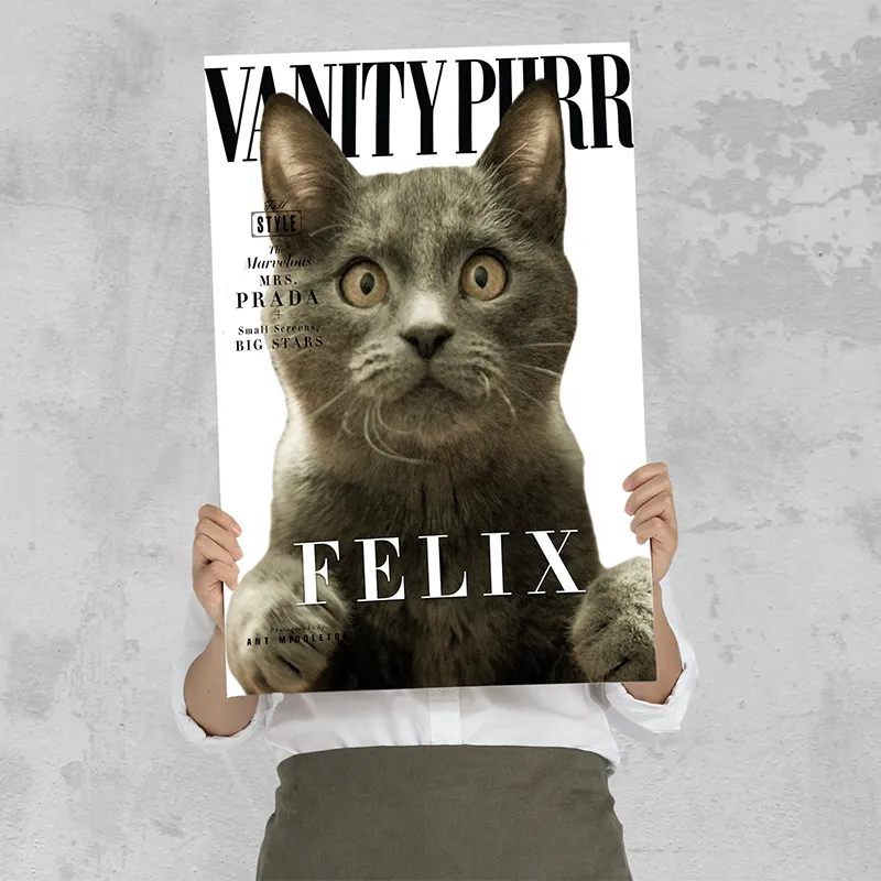 🔥NEU Magazin-Portrait für Katzen