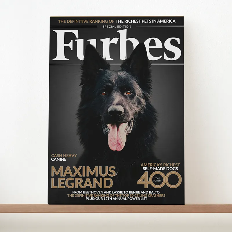 🔥NEU Magazin-Portrait für Hunde