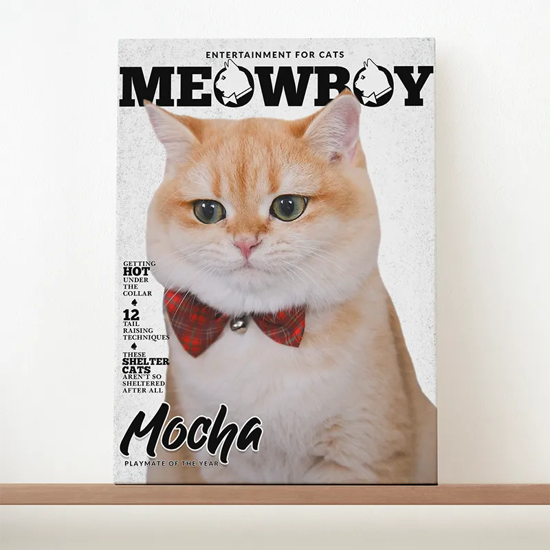 🔥NEU Magazin-Portrait für Katzen