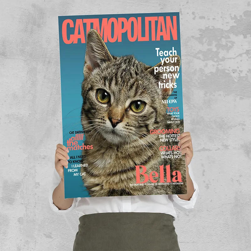 🔥NEU Magazin-Portrait für Katzen