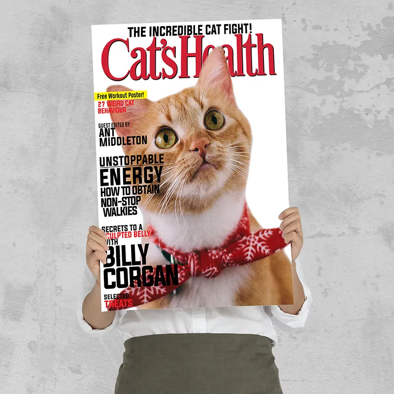 🔥NEU Magazin-Portrait für Katzen