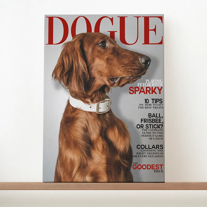 🔥NEU Magazin-Portrait für Hunde