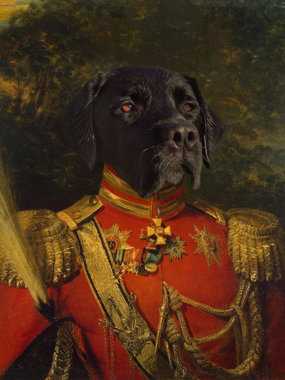 Der General