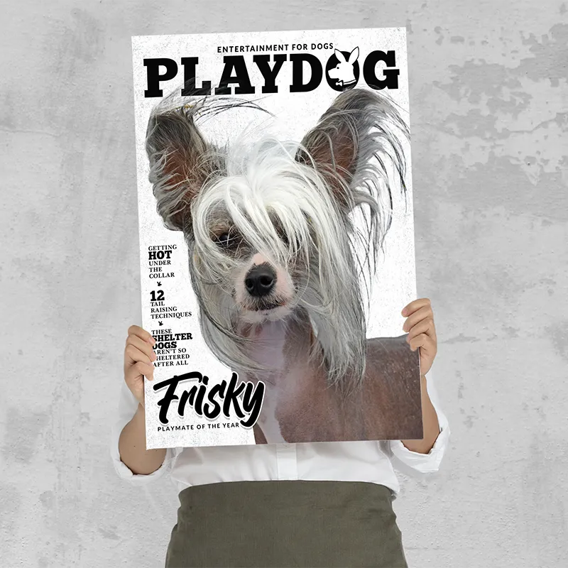 🔥NEU Magazin-Portrait für Hunde